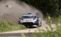 Rally PAIDE 2024